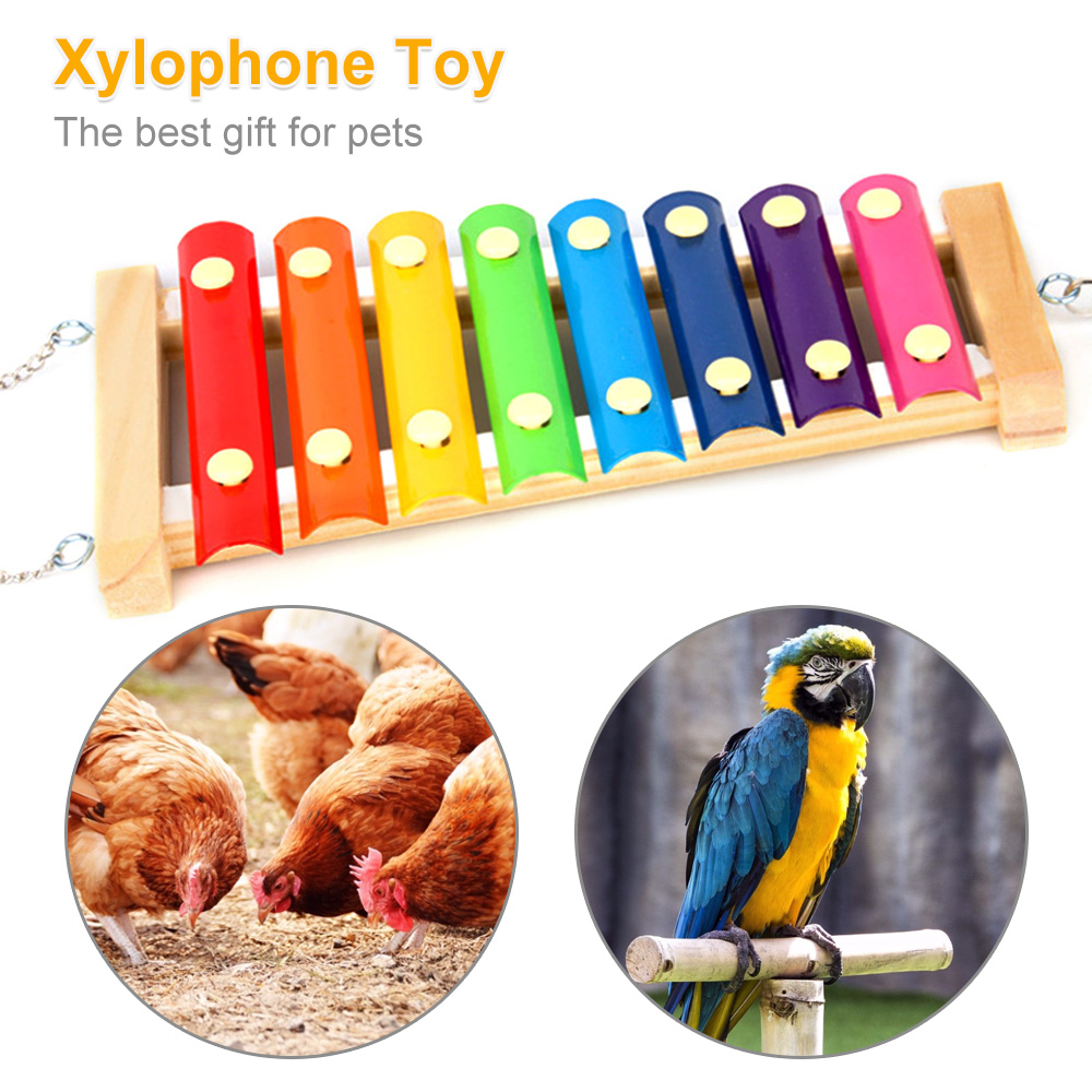 Kuş Tavuk Ksilofon Oyuncak Ahş - Musical Instrument Xylophone incelemesi ve fiyatı
