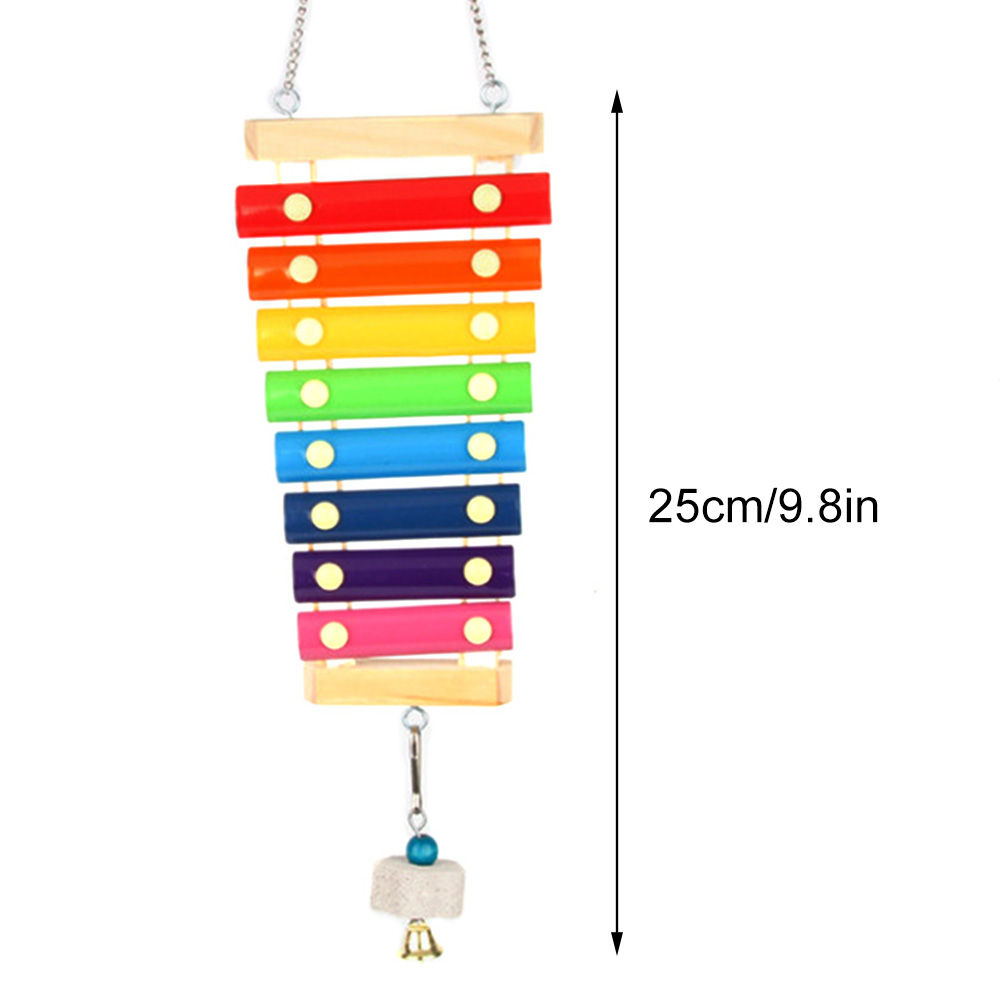 Kuş Tavuk Ksilofon Oyuncak Ahş - Musical Instrument Xylophone incelemesi ve fiyatı